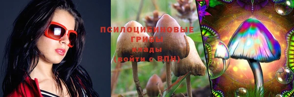 ГАЛЛЮЦИНОГЕННЫЕ ГРИБЫ Волосово