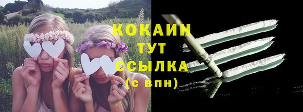 ГАЛЛЮЦИНОГЕННЫЕ ГРИБЫ Волосово