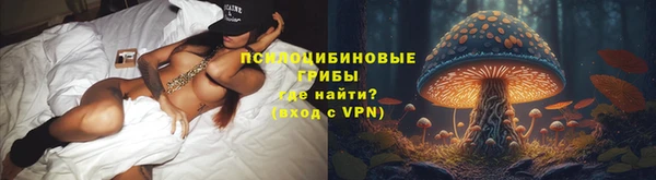 ГАЛЛЮЦИНОГЕННЫЕ ГРИБЫ Волосово