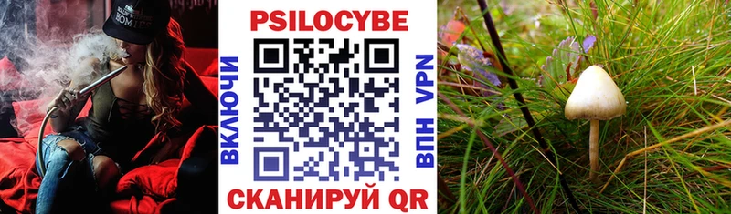 Галлюциногенные грибы мицелий  Купить где  Борзя 